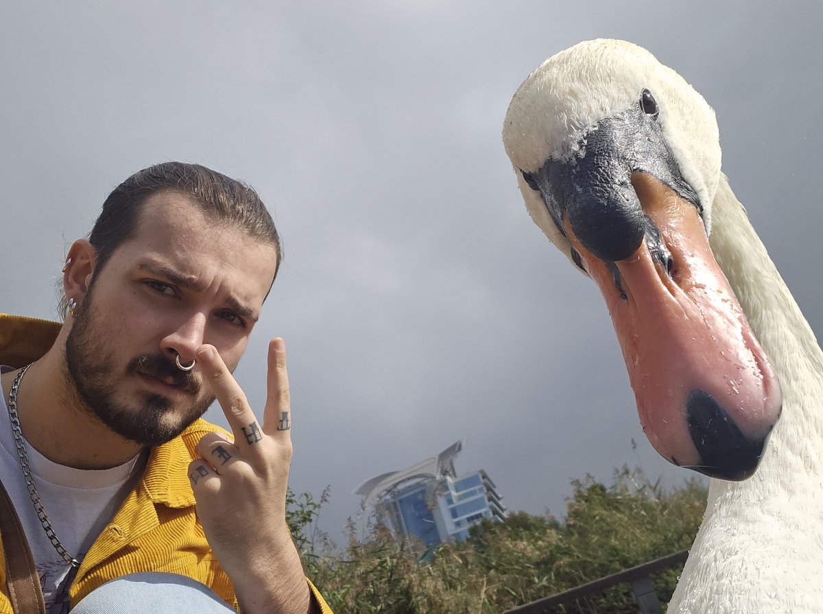 𝐃𝐄𝐕𝐎𝐍™ tweet media