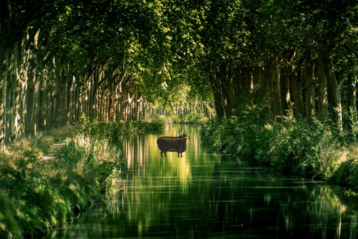 legrandnoir's tweet photo. The Canal du Midi is currently being ravaged by canker stain, a disease that threatens its plane trees and biodiversity as a whole. Since 2016, Le Grand Noir and is proud to help the association to replant new tree species for future generations.

https://t.co/1myP7lGLC8 https://t.co/Bn7WVXqjvY