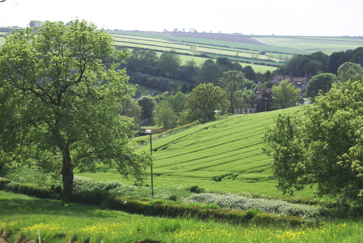 The statutory &amp; public consultation to designate part of the Yorkshire Wolds as an Area of Outstanding Natural Beauty (AONB) has officially launched!  

Have your say from today until midnight on the 13th January 2025. 

Read all about it 👇

gov.uk/government/new…