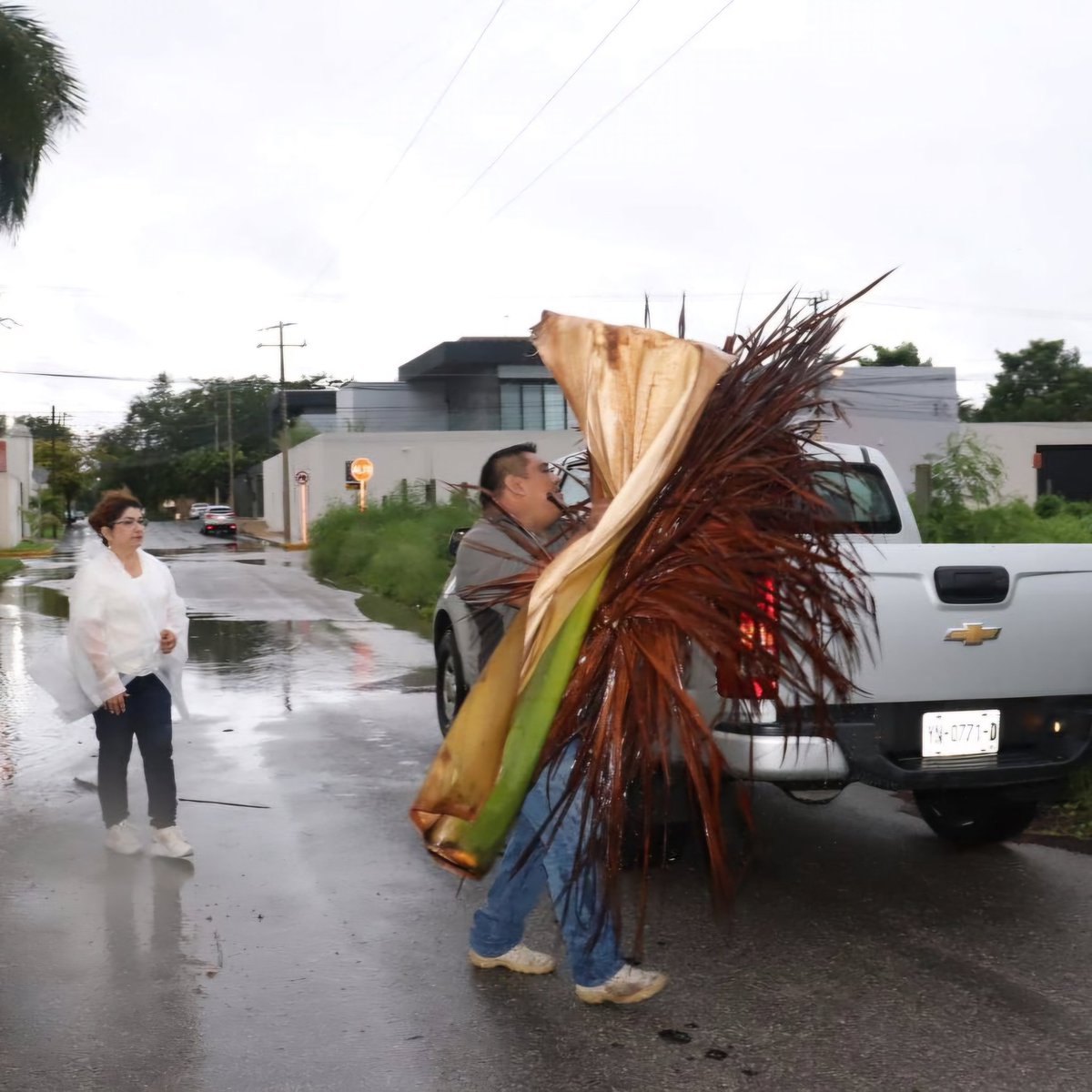 AyuntaMerida's tweet image. 👊 ¡No descansamos cuando se trata de tu bienestar! 

Personal del @DIF_Merida ya está en el fracc. Montecarlo con el #OperativoCallePorCalle canalizando tus reportes. #MéridaContigoEsMejor @CeciliaPatronL
