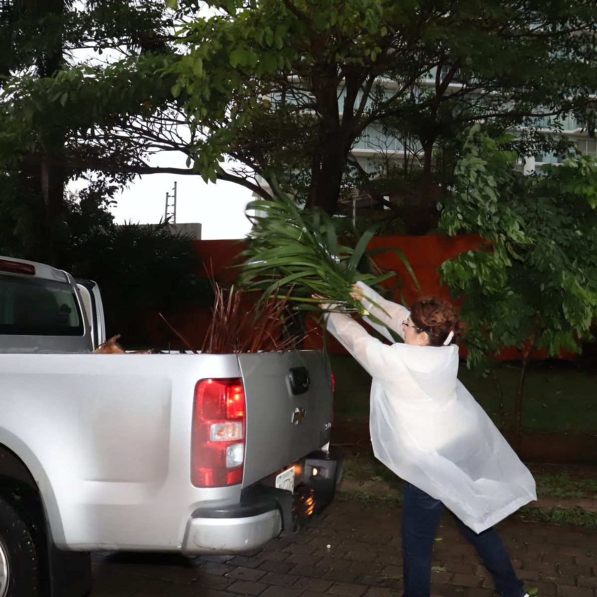 AyuntaMerida's tweet image. 👊 ¡No descansamos cuando se trata de tu bienestar! 

Personal del @DIF_Merida ya está en el fracc. Montecarlo con el #OperativoCallePorCalle canalizando tus reportes. #MéridaContigoEsMejor @CeciliaPatronL