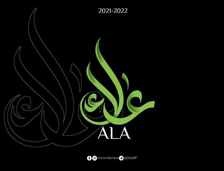 alaa amy tweet media