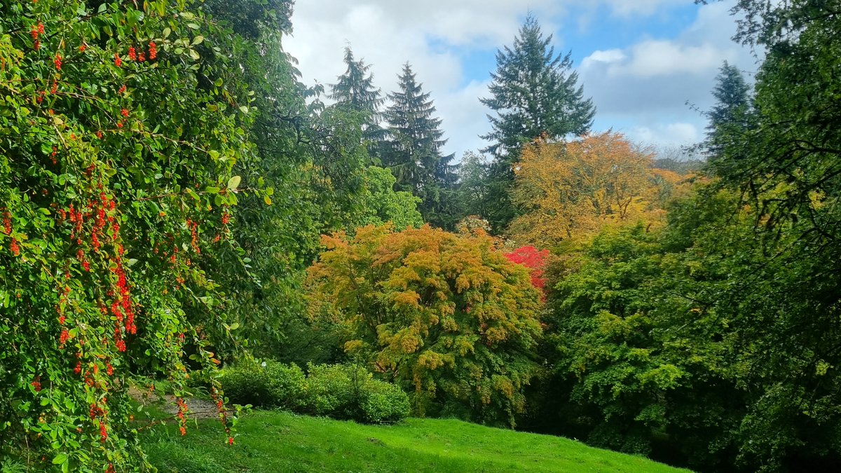 AlbertKimbu's tweet photo. 1st site visit of UG Visitor Attraction Management module students to @WinkworthNT  Arboretum, Surrey to experience &amp; learn more about practical and critical issues related to planning, developing &amp; managing attractions... just in time for the start of autumn colours... https://t.co/ZwCtcVuqol