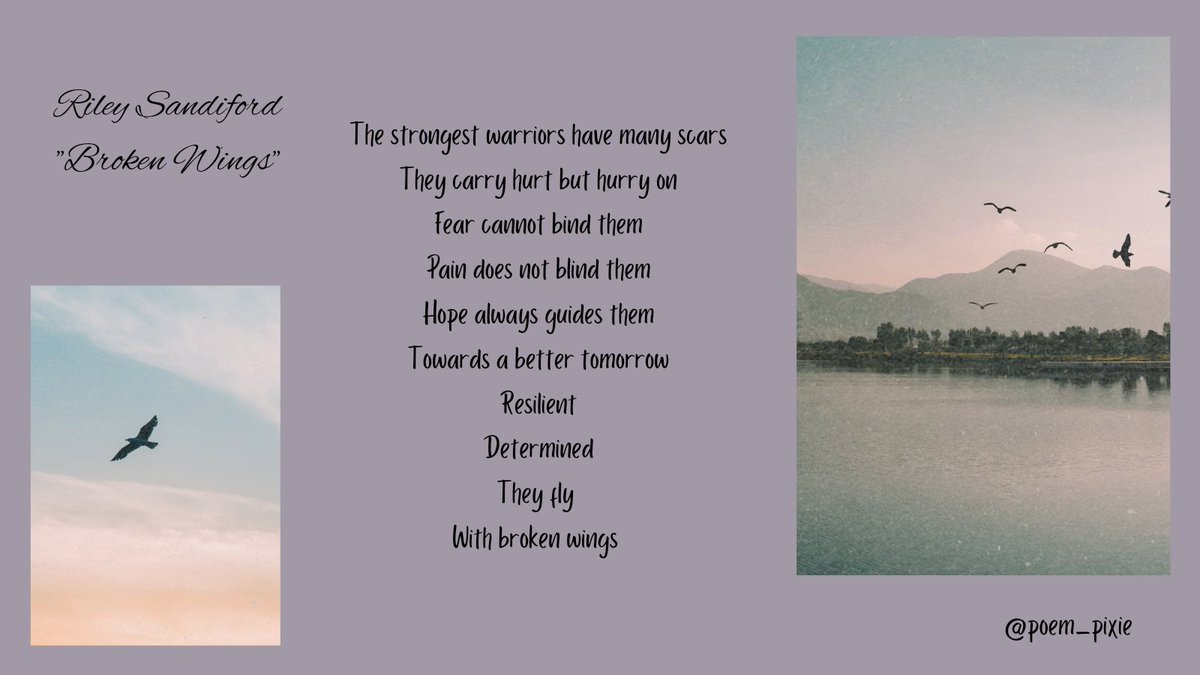 poem_pixie's tweet image. #scar #broken #wings #poetrycommunity #poem #poets Find me on my Instagram @poem_pixie