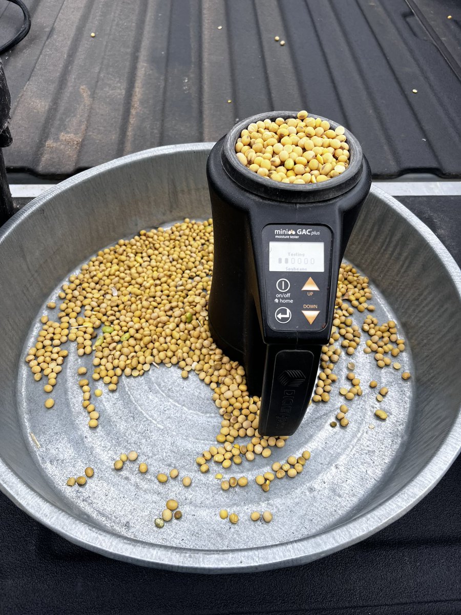 Our <a href="/PioneerSeeds/">Pioneer Seeds U.S.</a> plots are well underway for #harvest24! 

Check out the plot data results to help make your decisions for 2025. 

Our dedicated growers &amp; team put in a lot of effort planting &amp; harvesting these plots to provide you with local insights to help your operations!