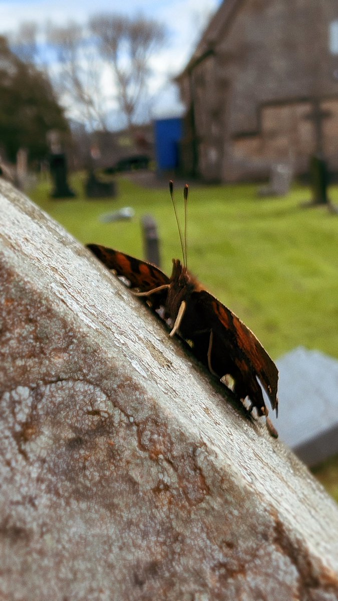 bouphe's tweet image. 