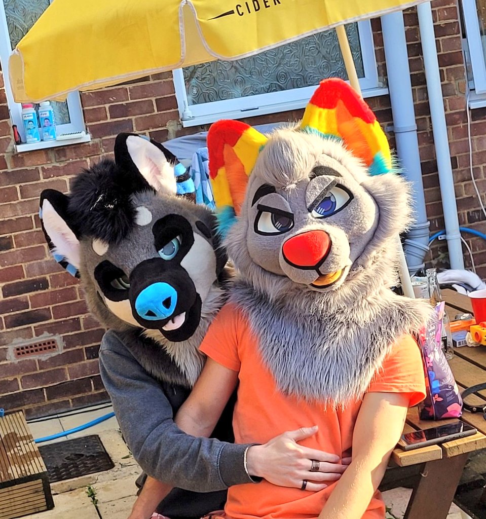 InfinityFloof's tweet photo. Is pet your cute dog day ! Got this cute @BoundBeastStuff to pet and snug 
📷 @zazelwolf https://t.co/yorRYgNcYm