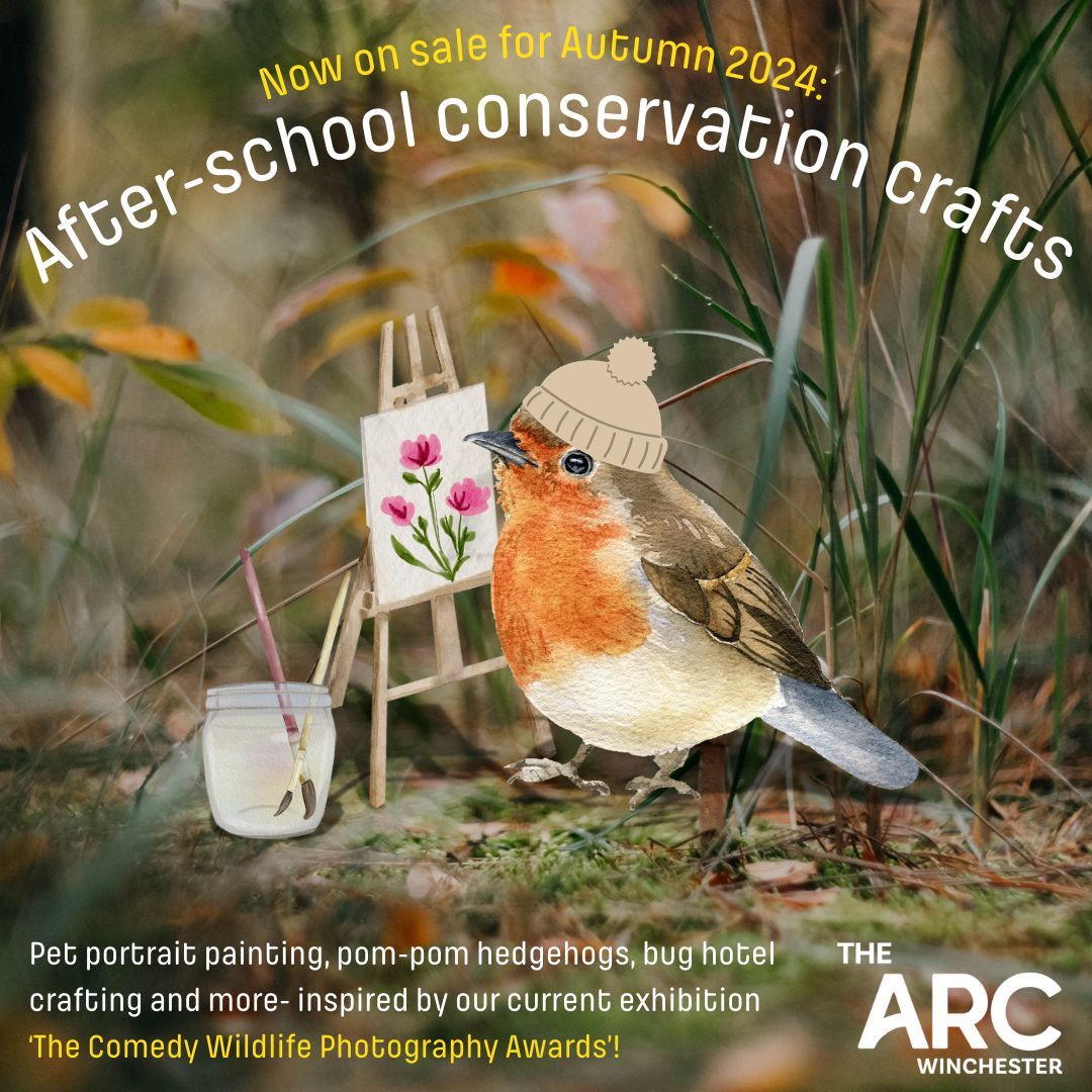 Inspired by our current exhibition, we are offering a range of after-school animal and conservation themed crafty workshops for all children to enjoy, meet new friends, learn something new and take home a creation of their very own! 🍂🎨🐦buff.ly/3U05gWq