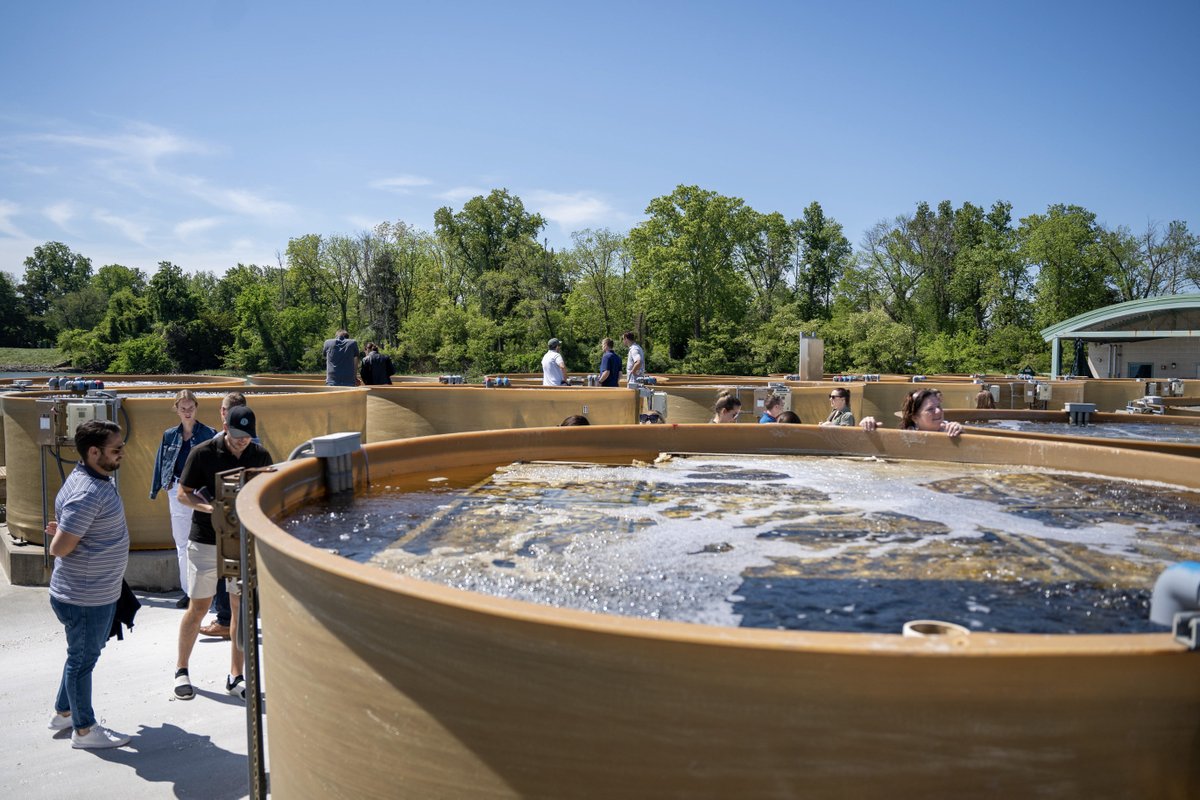 Don't miss the <a href="/UMCES/">UMCES</a> Horn Point Laboratory open house this Oct. 12 in Cambridge, Maryland! This free event includes a tour of the oyster hatchery, interactive science displays, crafts and a scavenger hunt for kids, and more. 🔬 🦪
Find details here: loom.ly/4UA74Vs