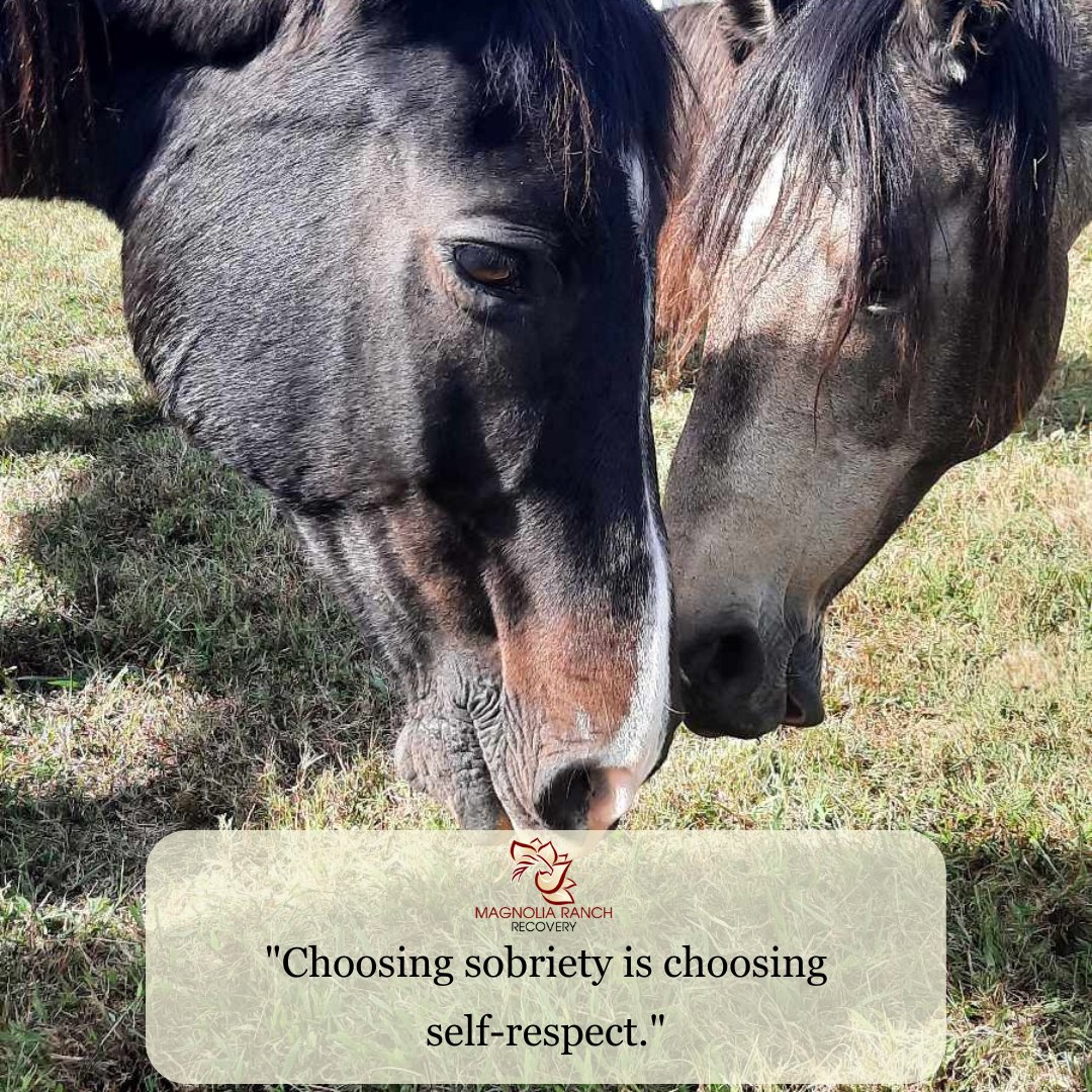 MagnoliaRanchRe's tweet photo. Healing is Possible: No matter how long you've been struggling, healing is possible. Magnolia Ranch Recovery is here to help. Contact us at 888-992-8094 and start your journey to recovery. https://t.co/33IOQJg8RQ
