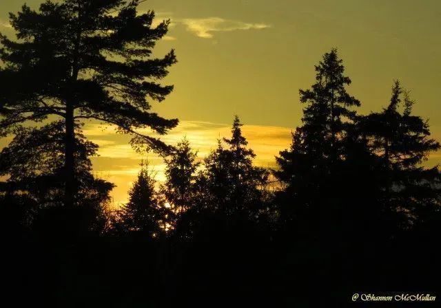 Twilight. Manitoulin Island, the world's largest freshwater island. #travel #DiscoverON buff.ly/3XoU8mz #manitoulinmagic