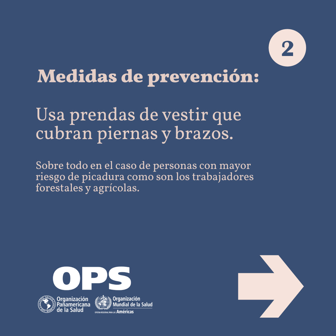 ProsaludC's tweet photo. #prosaludsantiagodecuba https://t.co/zvsItijHQa