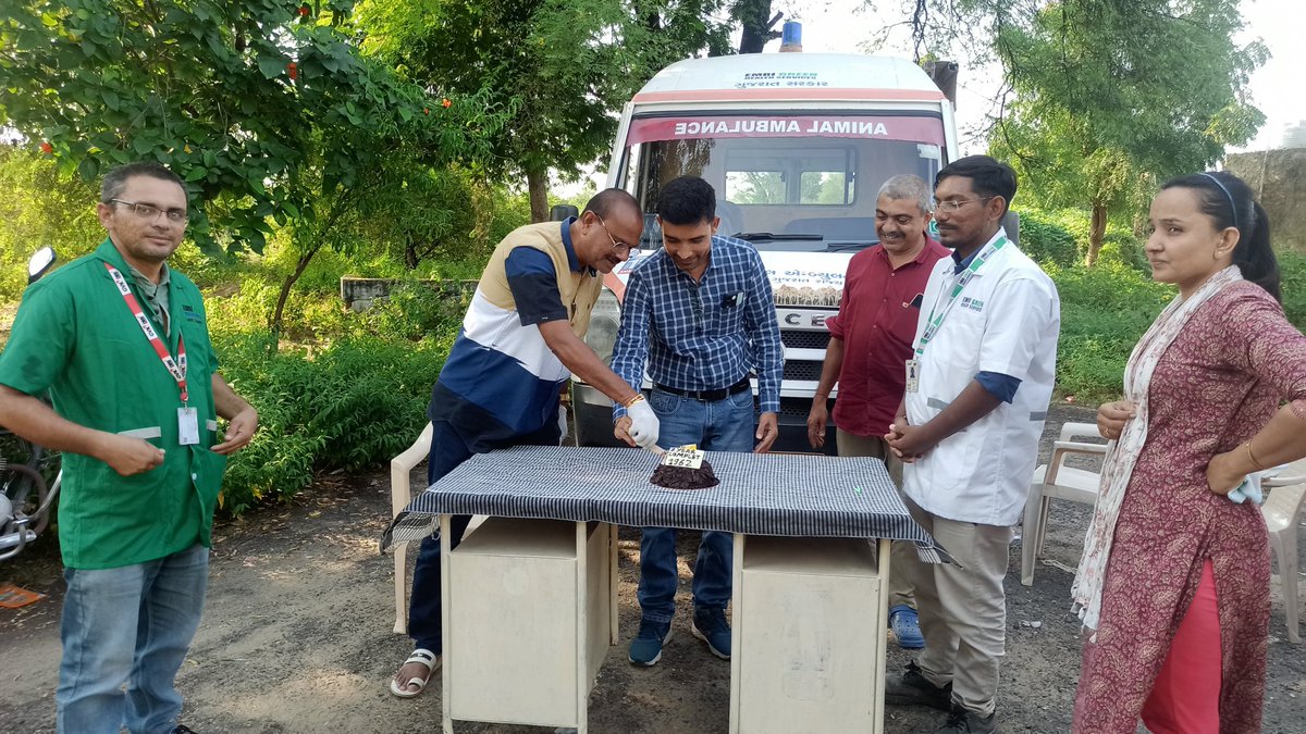 DDAHMehsana's tweet photo. બિનવારસી પશુપક્ષીઓ માટે આર્શીવાદરૂપી  ગુજરાતસરકાર અને EMRI ગ્રીનહેલ્થ સર્વિસનાં ઉપક્રમે કાર્યરત #1962 કરુણા એનિમલ એમ્બ્યુલન્સ #Mahesana ને 7વર્ષ પૂર્ણ.
નાયબ પશુપાલન નિયામકશ્રી, ડૉ.ભાર્ગવ લિંબાચિયા અને ધર્મેન્દ્ર સાથે કેક કાપી ઉજવણી કરી. છેલ્લા 1વર્ષમાં 4909પશુપક્ષીઓને નવજીવન આપેલ https://t.co/y1QVagbqGb