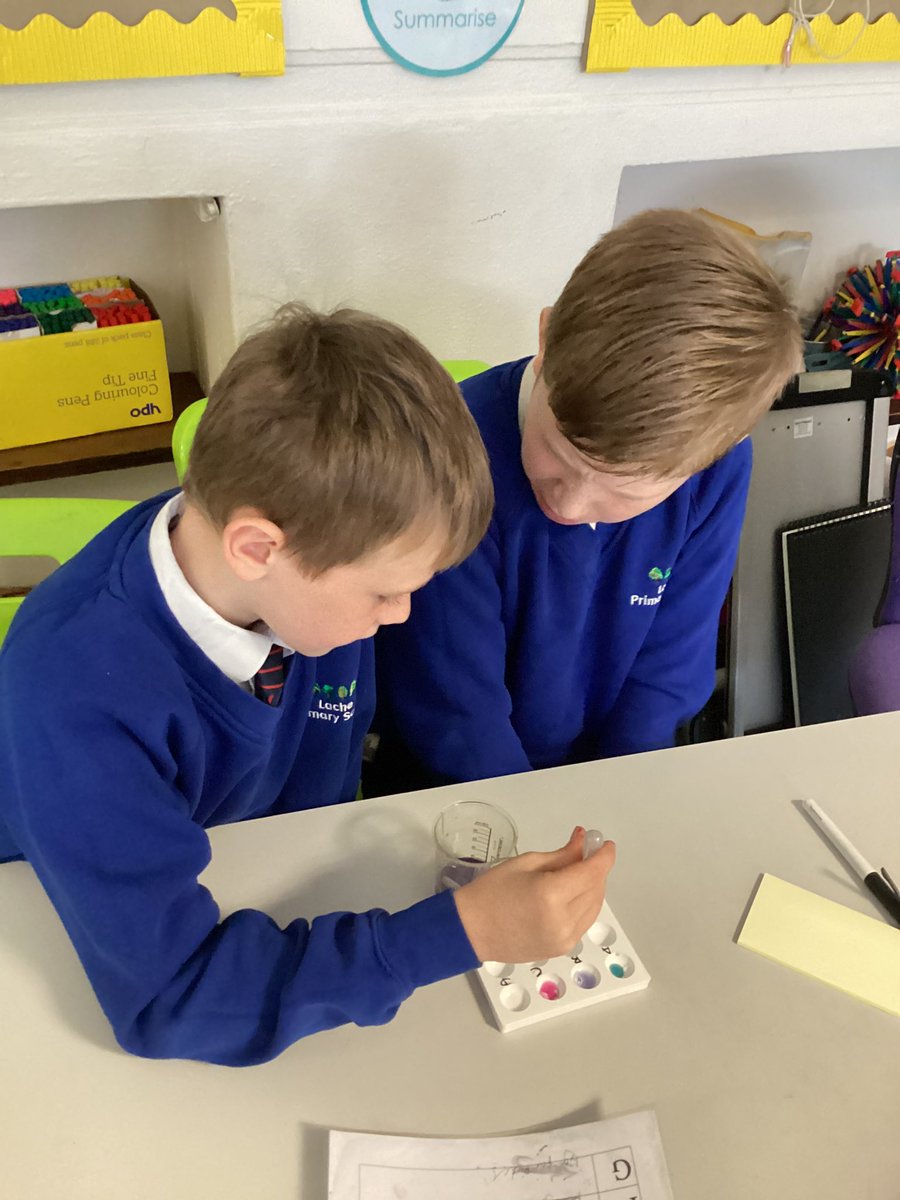 Lache Primary School tweet media