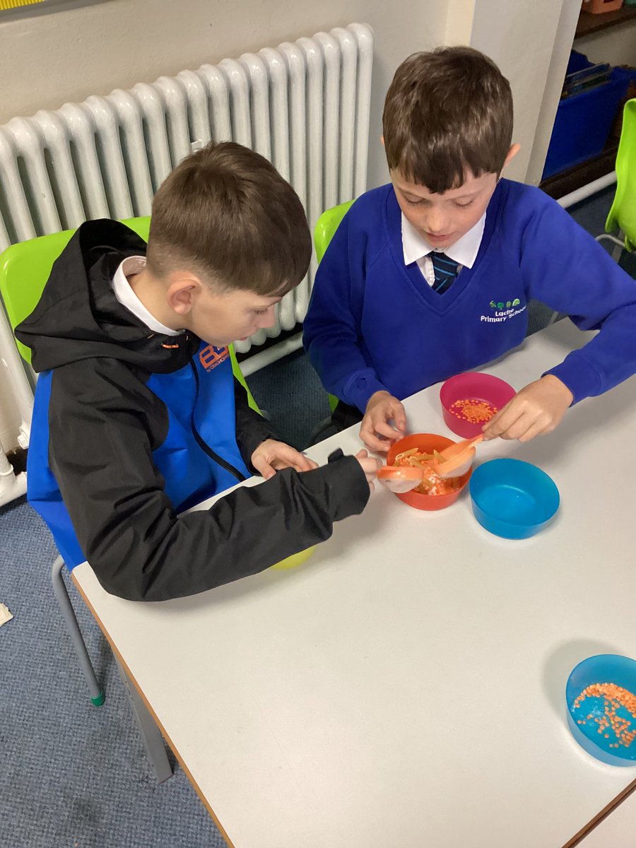 Lache Primary School tweet media