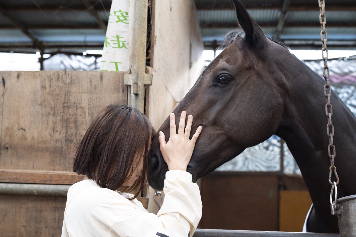 先日、写真家の田中郁衣さん <a href="/ikut_uma/">ikut.horse</a> が、素敵な瞬間を切り取ってくださいました📸
お互いプライベートで、しかも早朝にも関わらず、ベストショットをありがとうございます🐴💓

#鹿島 #鹿頭厩舎 #グッドラック号