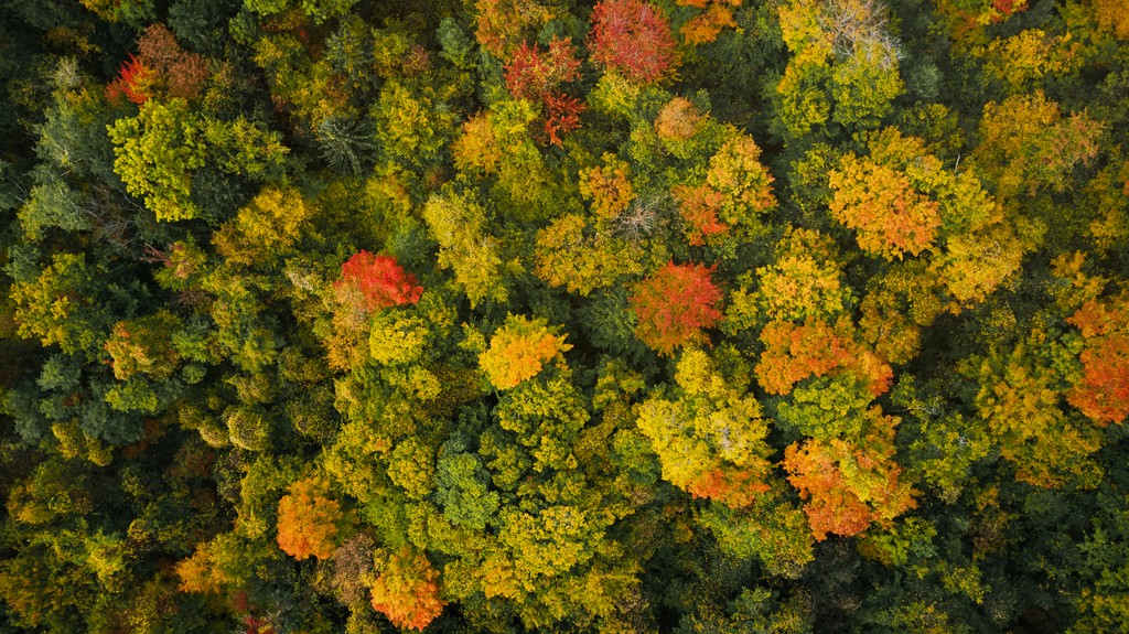 baldelli's tweet photo. Lovin' Autumn in the Northeast! https://t.co/troqY3s2sK