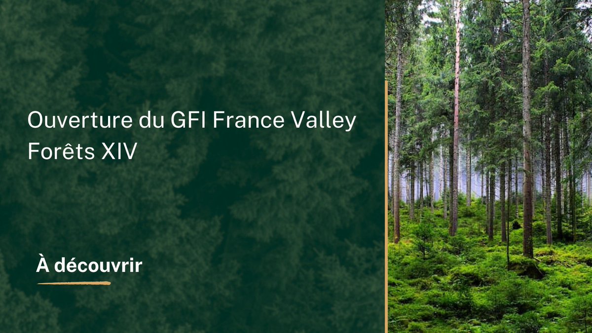 MeilleurGF's tweet photo. 📢 Le GFI France Valley Forêts XIV est ouvert ! Une opportunité d'investir en forêt dès 1 000 € avec des avantages fiscaux attractifs. 🌲 #InvestissementForestier #Diversification #PatrimoineDurable 
https://t.co/Cdu3HgsJvX https://t.co/PQDsjSUjqv