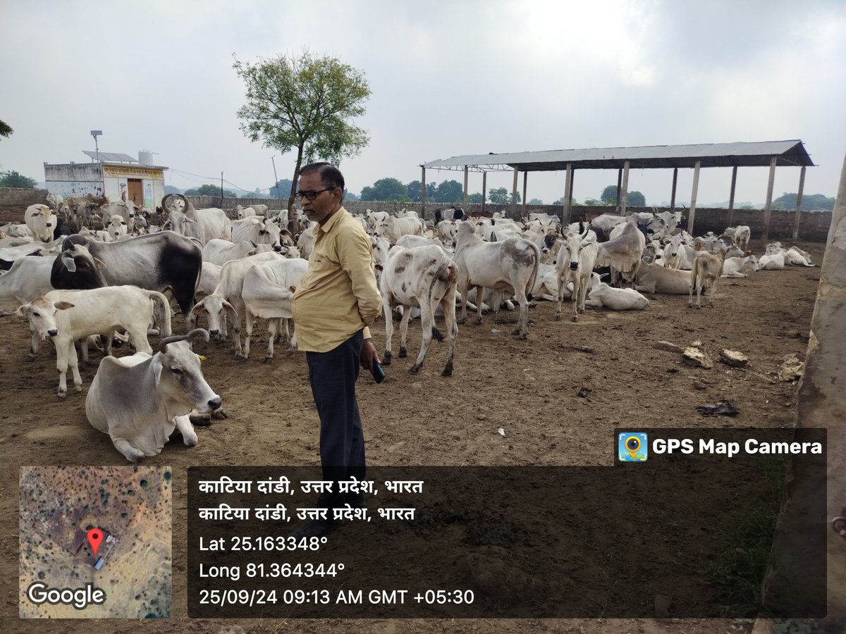 Maneesh3251MC's tweet photo. @journlist_up @ChitrakootDm @CMOfficeUP @p_ckt1 @BsOjha15 @bharatupdate_ @bstvlive @Dewarva @Dharmen66780455 @kpmaurya1 @ChiefSecyUP गौशाला कटैयाडांडी में सभी अलग अलग दिनों में सत्यापन किया गया और बीमार गौवंश को दवा कराया गया https://t.co/3CibiBRcXm