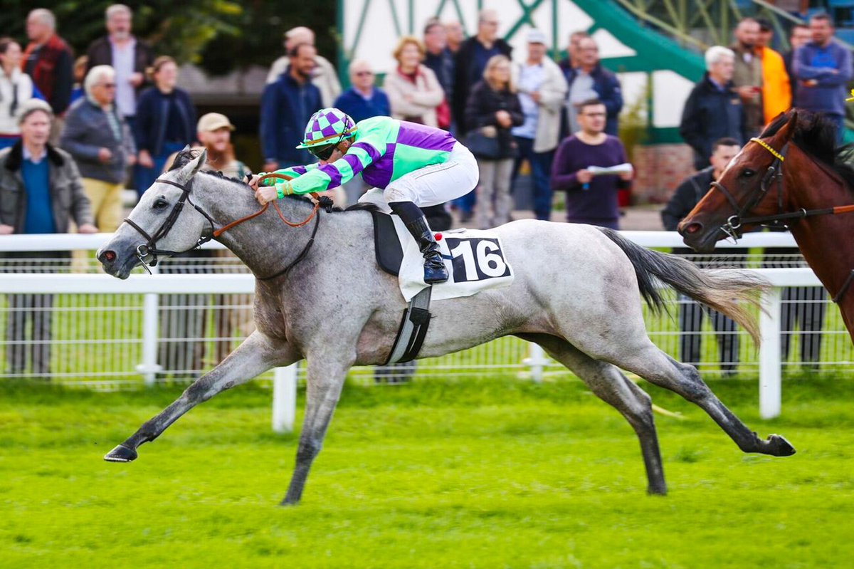 Arthur Hoyeau (@arthurhoyeau) on Twitter photo 3YO filly AGORIA stretches clear to win nicely at Fontainebleau this afternoon for trainer <a href="/teamchferland/">CH Ferland Racing</a>
We bought the daughter of Zoustar as a yearling at Book 2 of the <a href="/Tattersalls1766/">Tattersalls</a> October Yearling Sale.
Congratulations to her connections! 3YO filly AGORIA stretches clear to win nicely at Fontainebleau this afternoon for trainer <a href="/teamchferland/">CH Ferland Racing</a>
We bought the daughter of Zoustar as a yearling at Book 2 of the <a href="/Tattersalls1766/">Tattersalls</a> October Yearling Sale.
Congratulations to her connections!