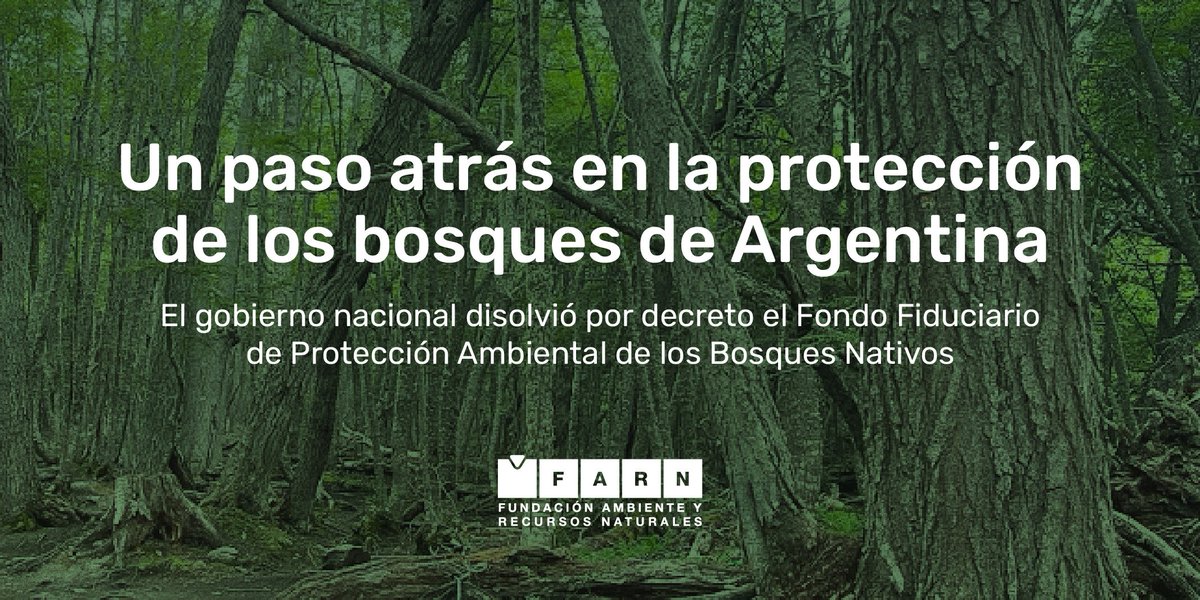 farnargentina's tweet photo. 🚨El gobierno nacional disolvió, a través del Decreto 888/24, el Fondo Fiduciario de Protección Ambiental de los Bosques Nativos.

Le exigimos al gobierno nacional que revierta esta medida. No podemos permitir más retrocesos sobre la protección del ambiente🧵

https://t.co/DTYpqszJj9