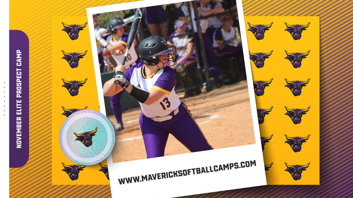 MSU Softball (@minnstsoftball) on Twitter photo 