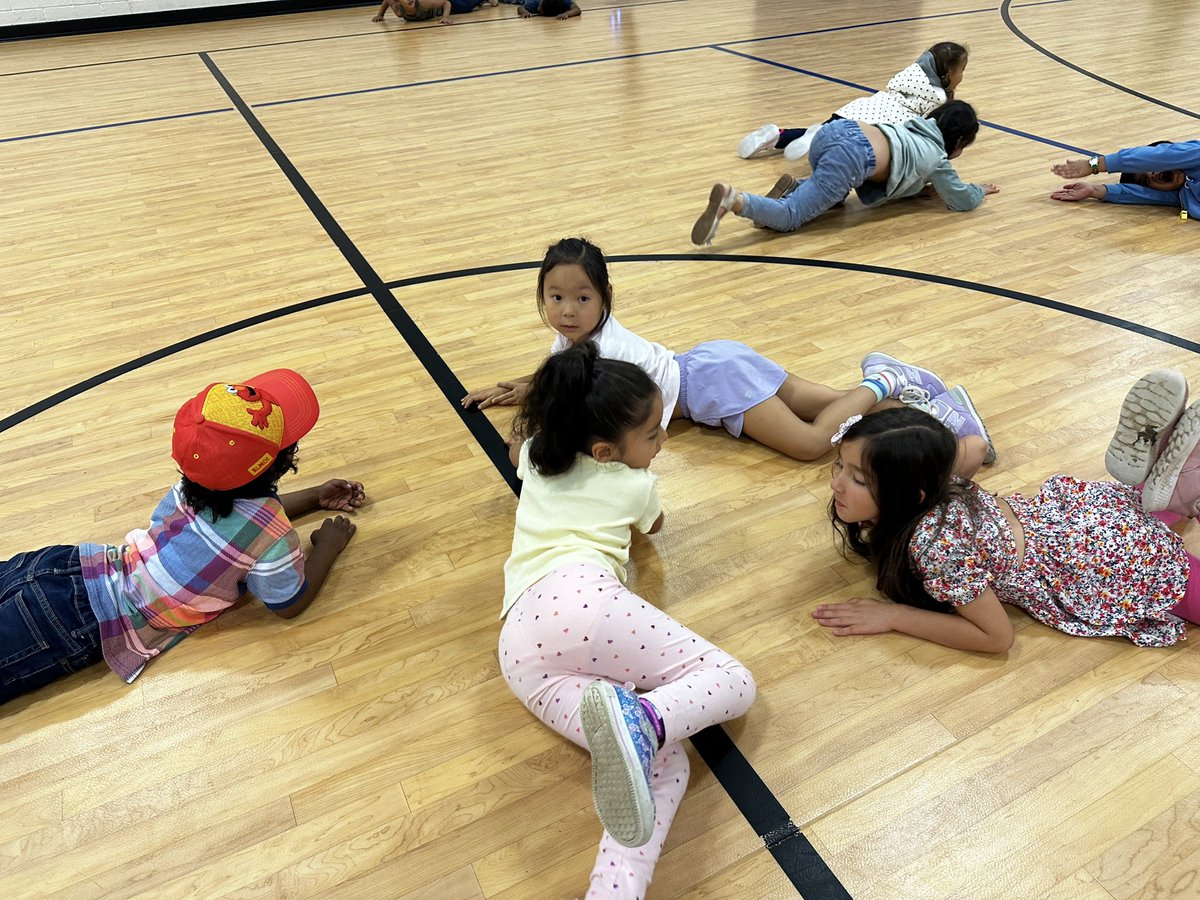 Mr. Niehoff’s P.E. tweet media