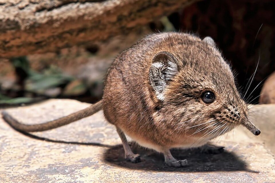 WallCraft tweet media