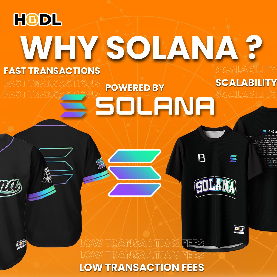 101 Hodl tweet media