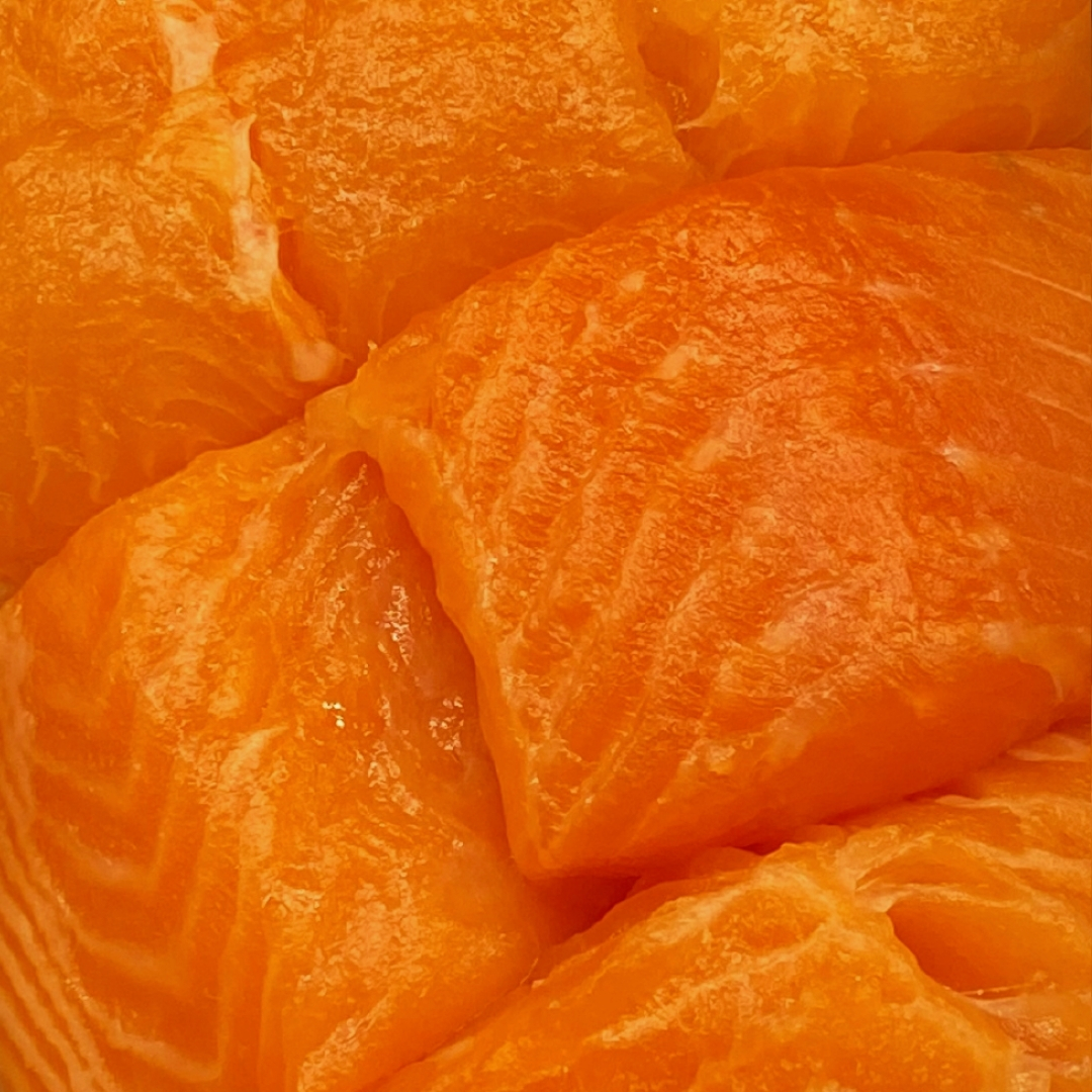 Happy National Salmon Day to all the salmon lovers out there! Whether grilled, smoked, or baked, its rich flavour and versatility make it the star of any dish. Our Sustainable Salmon isn’t just delicious; it’s a choice you can feel great about! #NationalSalmonDay