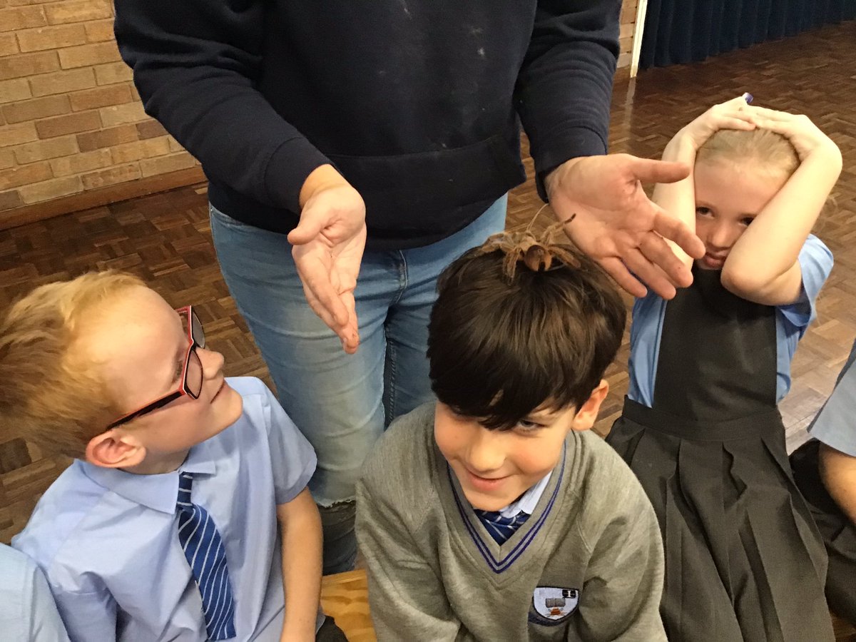 StJBoscoYear4's tweet photo. We had a great afternoon looking at and handling some animals that would normally live in the rainforest. https://t.co/tT550i5l5T