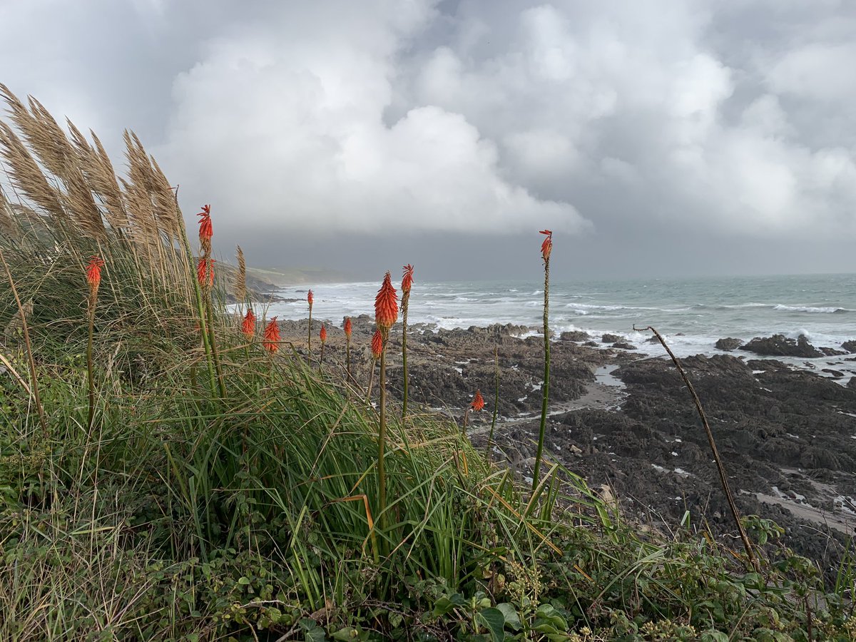 Crasstafari's tweet photo. Moody #Kernow 💙🌊🌬️ https://t.co/T5oVe6FdrN