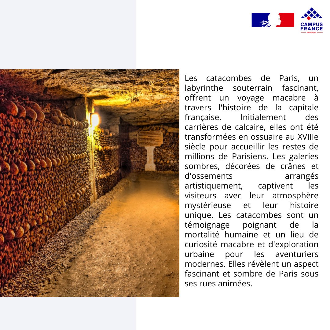 iens #étudier en #France et prépare toi à découvrir ses trésors ✨ Cette semaine #découvrons ensemble les #catacombes de Paris #étudesenfrance