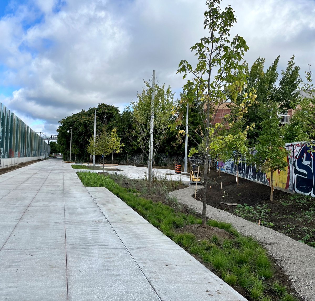 As we gear up for the reopening of the West Toronto Railpath, we’ve been hard at work replanting a diverse range of beautiful trees to bring new life to the area. We can't wait for you to enjoy this revitalized green space!