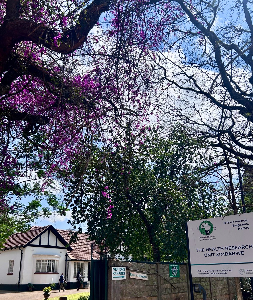 Week 1 ✅ 

Grateful to have started <a href="/LCGHR_Liverpool/">LCGHR Liverpool</a> PhD at <a href="/LSTMnews/">LSTM</a> &amp; <a href="/ThruZim/">THRU_ZIM</a> with an incredible team of supervisors, collaborators, colleagues &amp; friends. 

Looking forward to learning more about the impact of TB &amp; silicosis on lung health of artisanal miners in Zim 🫁 👷🏽 🇿🇼