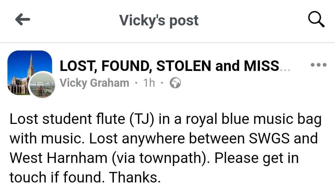 Lost school music bag with flute inside yesterday. Contact Vicky on Facebook or DM us to contact her