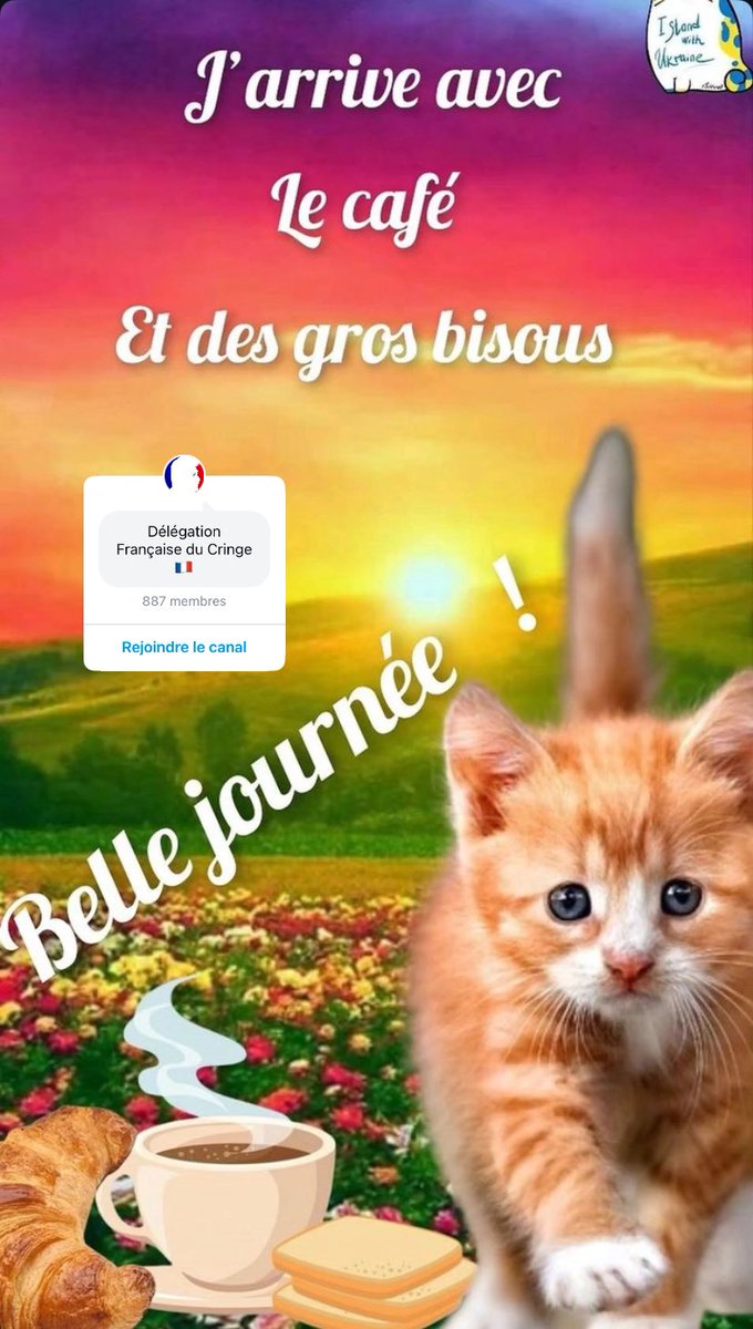 ElFamosoPi's tweet photo. @bastfs @Everyone @xrs7n @chlx__e @MehdiBabinks @aniiiaB @Orlannn_ @poufmilie @anto_brn1 @TuDevinerasPas @_0103s @lucaslafferrere @__lcast__ @kessokubandstar @GzlZineb @cccnonoo cc https://t.co/Yqv2olwT1R