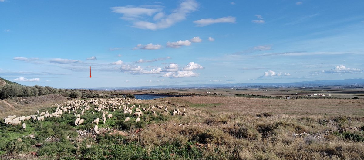 jordialgerri's tweet photo. Bona tarde!
7,5 litres més 👏
Pluja i després vent , porten unes vistes fantàstiques.
D'#Algerri mirant cap a #Cervera
Als peus de la #Serrallarga, vistes del #PladUrgell i #Montserrat
Pasturem erms, q després de la pluja, sempre és millor no xafar on sembrarem.
#AvistadePastor https://t.co/Fx72szJYUp