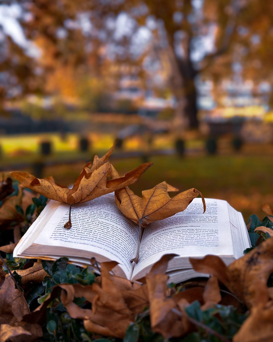 raoufdar7's tweet photo. Autumn 🍂 vibes.
.
.
.
#shotoniphone #photography #j&amp;K #jammukashmir #Srinagar #autumn @NatGeoTravel @Apple https://t.co/8xHMNvYIRk