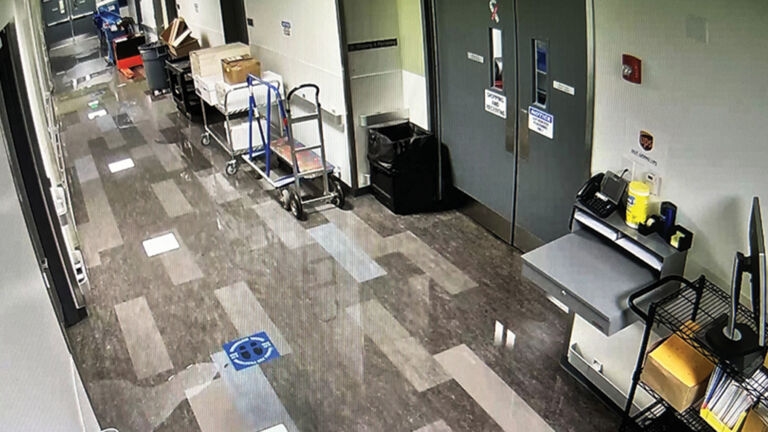 The Detection Group tweet media