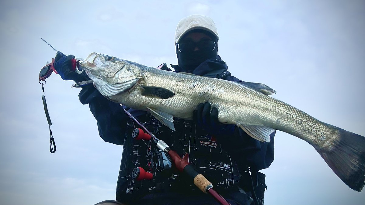 rikimaru5281's tweet photo. ～Never give up～

「Keep  casting🎣」

リバーに続いて

念願のサーフシーバス2024

長い道のりでした😭

 #Fishman 
 #BRIST
 #VENDAVAL10.1M https://t.co/zt0R57dEf1
