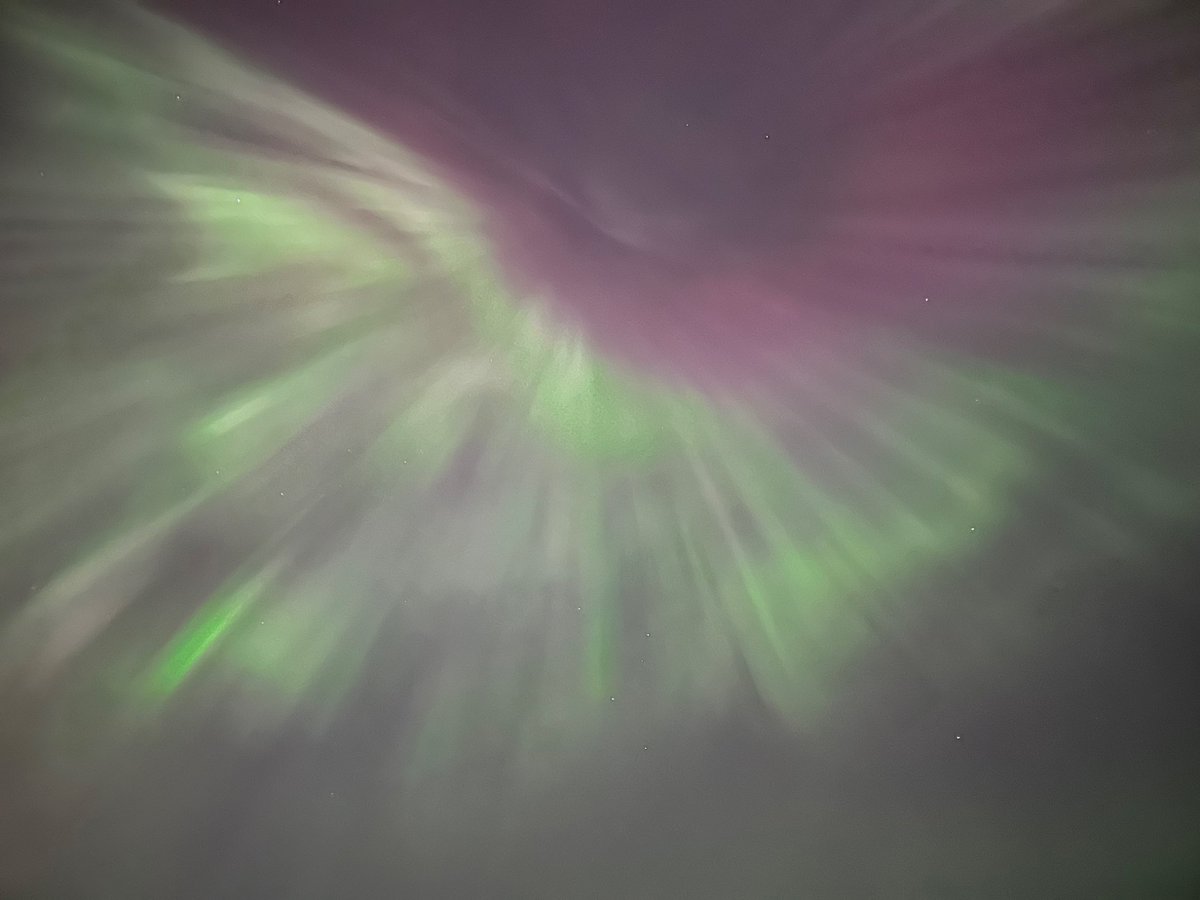 When I was a little kid, my dad woke me up in the middle of the night because the aurora were so bright. Safe to say: 30+ years later and still absolutely enchanted. Looking up from my balcony in the heart of #YEG last night