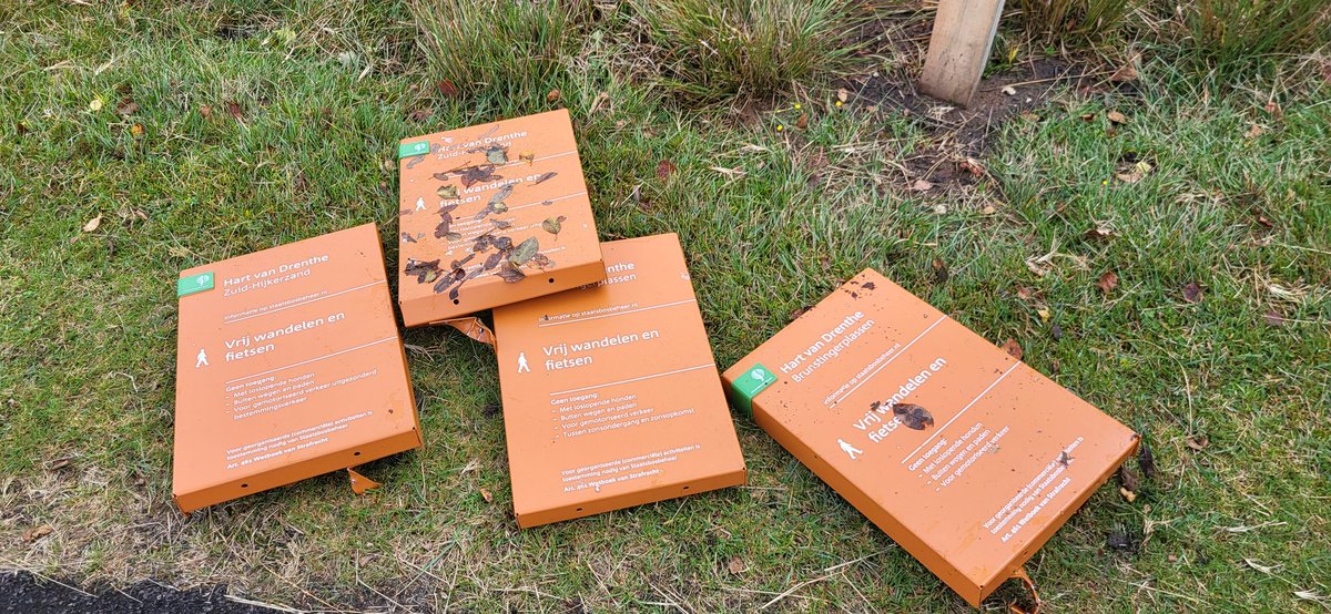 Tjeerd Langhout tweet media