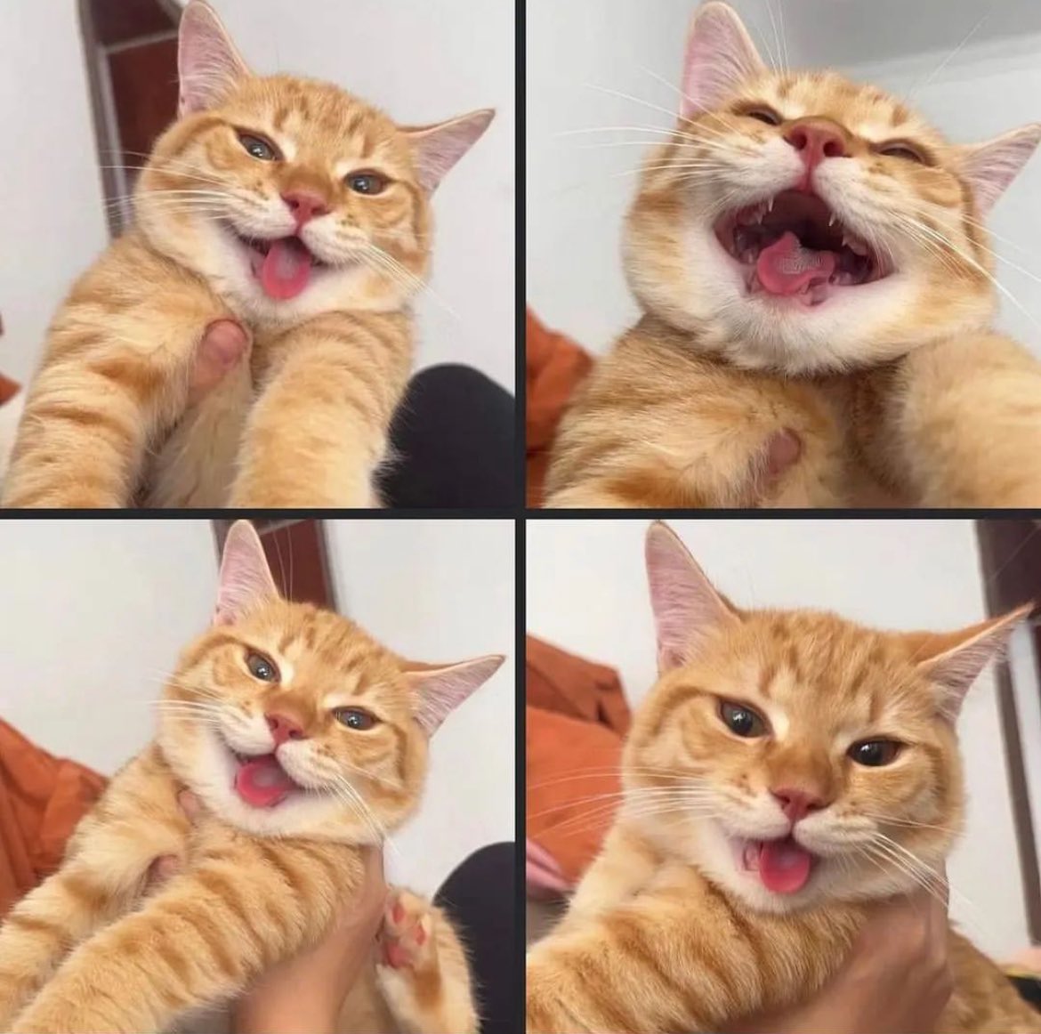 someone told him a joke