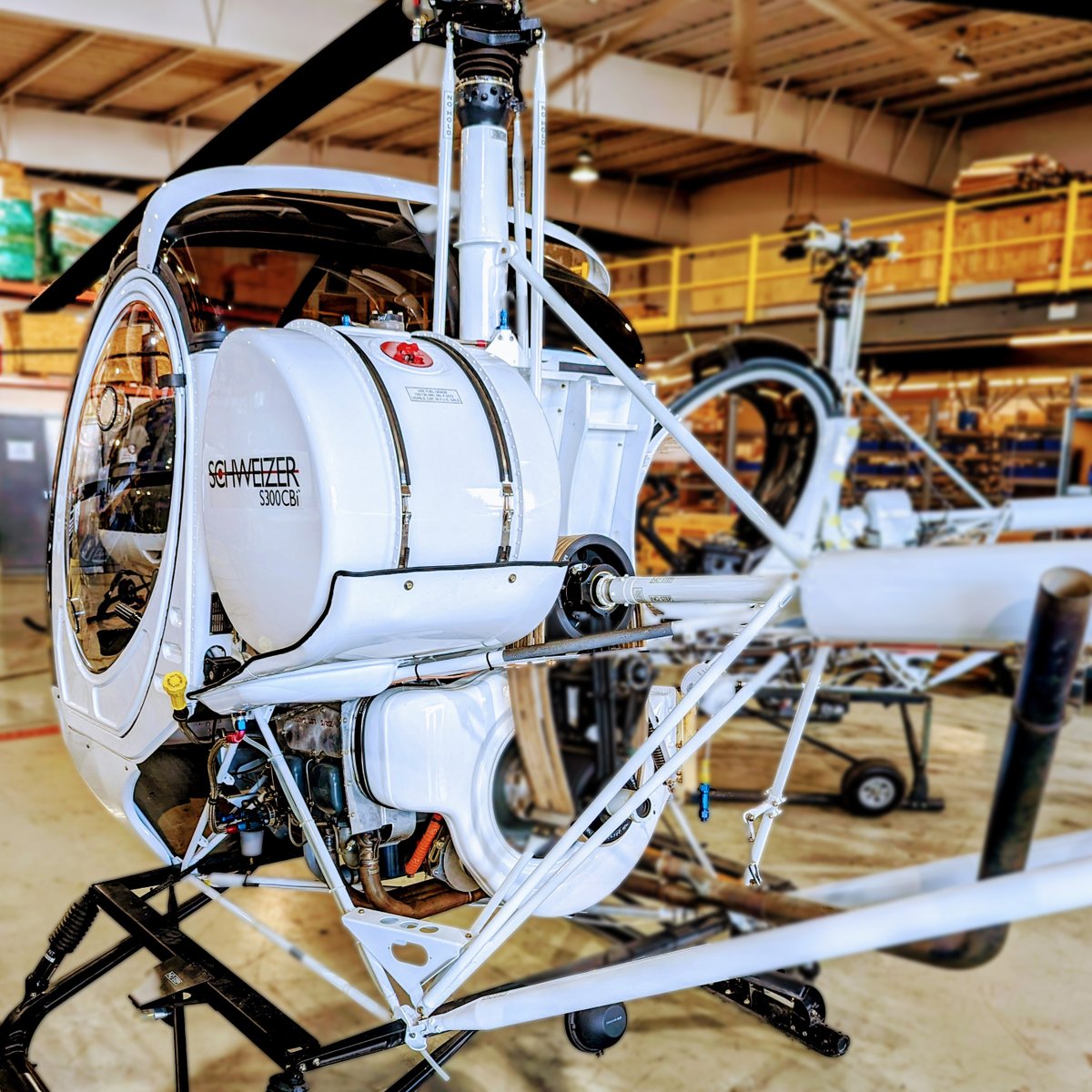 Schweizer tweet media