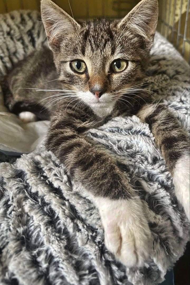 Miłego wieczorku życzę.