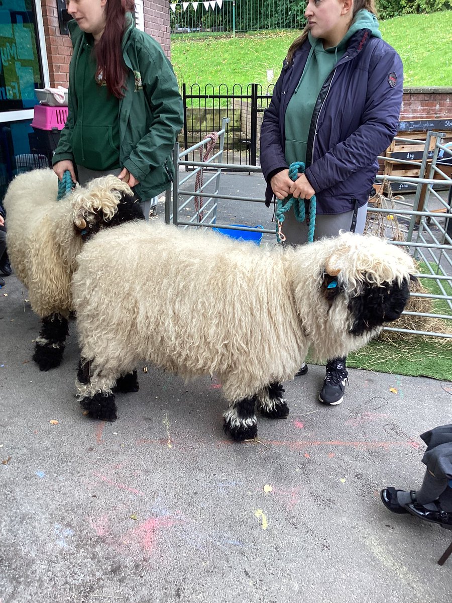 St Thomas' CE tweet media