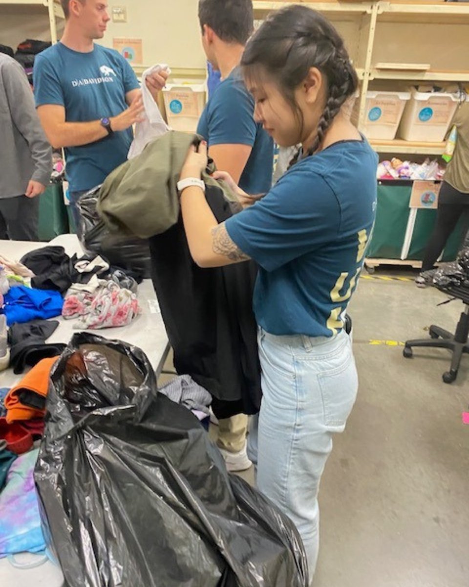 Treehouse tweet media