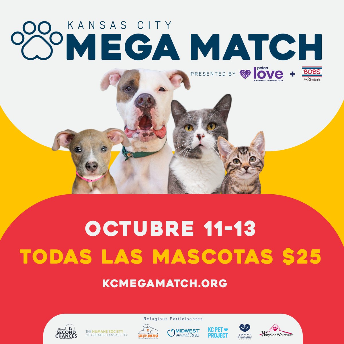 GreatPlainsSPCA's tweet photo. Great Plains SPCA is teaming up with @kcpetproject , @HSGKC, Lawrence Humane Society, Melissa's Second Chances, Midwest Animal Resq, and @WaysideWaifs, to find loving homes for at least 800 pets this year. And we YOUR help to reach our goal! https://t.co/OkZyCJUOYm