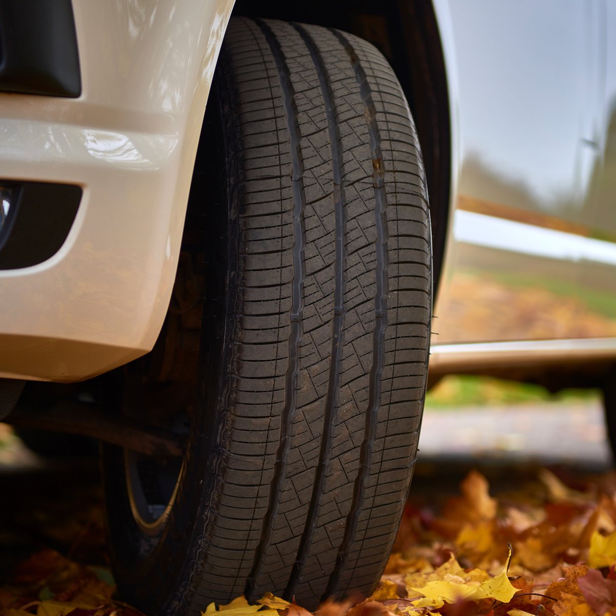 All-season durability 💪

As the seasons change, having a tyre that can keep you on the move is essential. Our 4Seasons Van tyre has been engineered to blend year-round handling and control with the longevity that van drivers expect.

Learn more: bit.ly/3RM1RGE